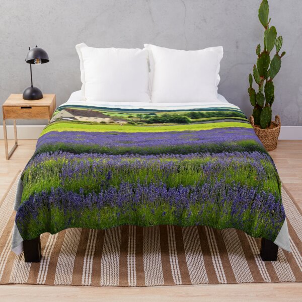 Item preview, Lavender Field Summer Flowers Cotswolds England designed and sold by AndyEvansPhotos.