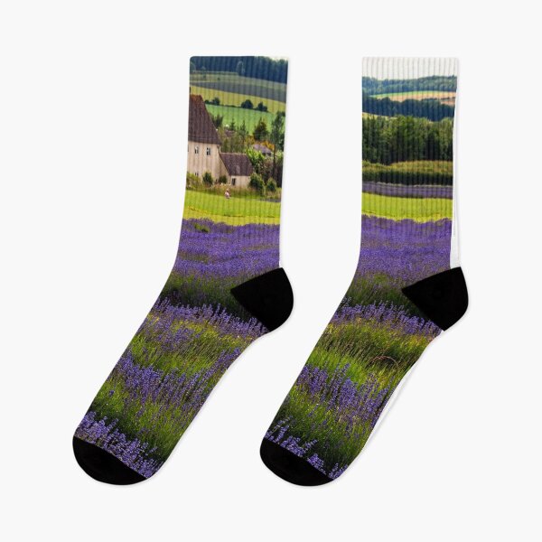 Item preview, Lavender Field Summer Flowers Cotswolds England designed and sold by AndyEvansPhotos.