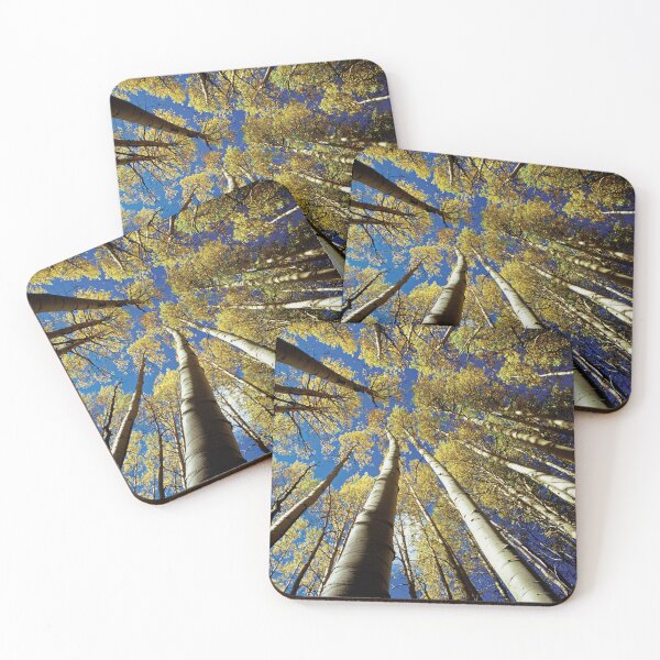 Item preview, Looking up at Quaking Aspens and Blue Sky in Autumn designed and sold by ScienceSource.