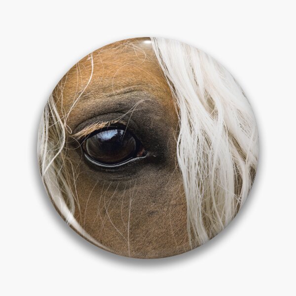 Item preview, Beautiful Closeup of Haflinger Horse Stallion Eye and Mane designed and sold by ScienceSource.