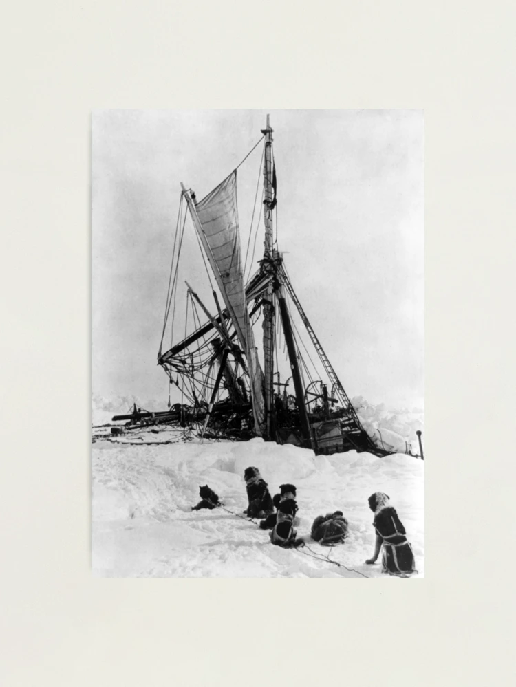 絵画 Endurance ernest-shackleton-s-expedition