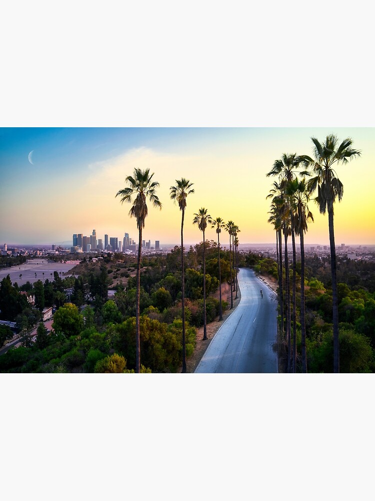 California Vibes, aesthetic, america, beach, la, night, palms