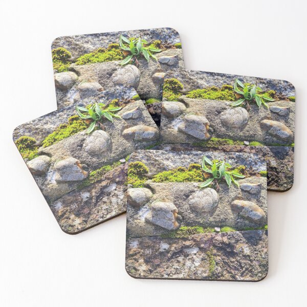 Item preview, abstract image of stone wall and plants designed and sold by Clairemarris.