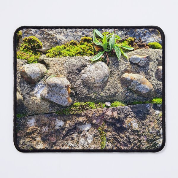 Item preview, abstract image of stone wall and plants designed and sold by Clairemarris.