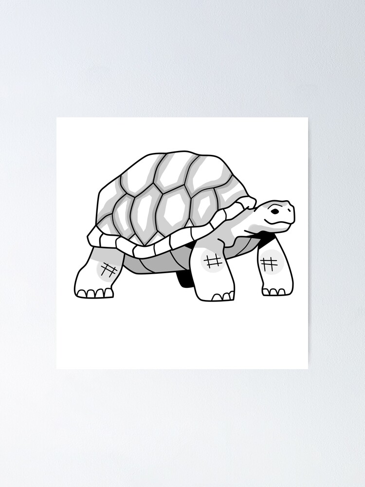 How to Draw a Tortoise? | Step by Step Tortoise Drawing for Kids