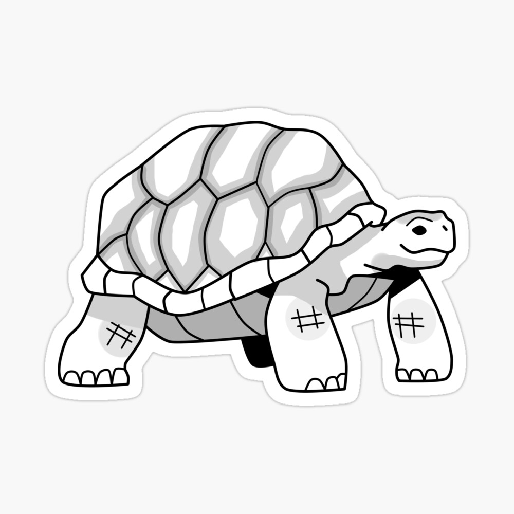 Adorable Tortoise I Drawing by Sipporah Art and Illustration - Pixels