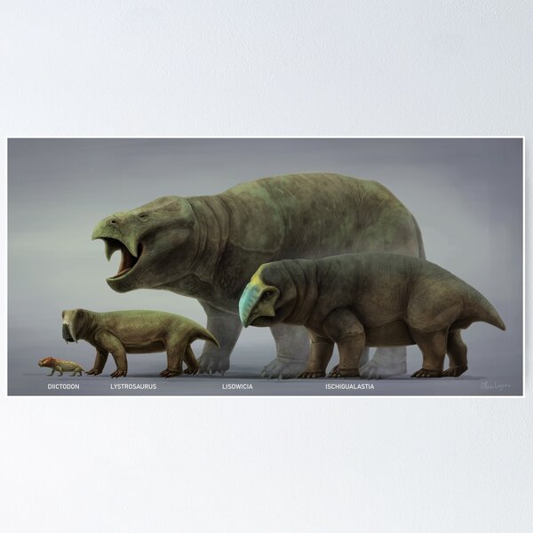"DICYNODONTIA. Dicynodont Synapsids chart. paleoart" Poster by ...