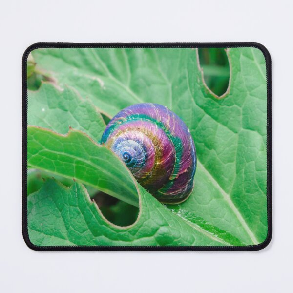 Item preview, Rainbow Snail designed and sold by Lostlogo.