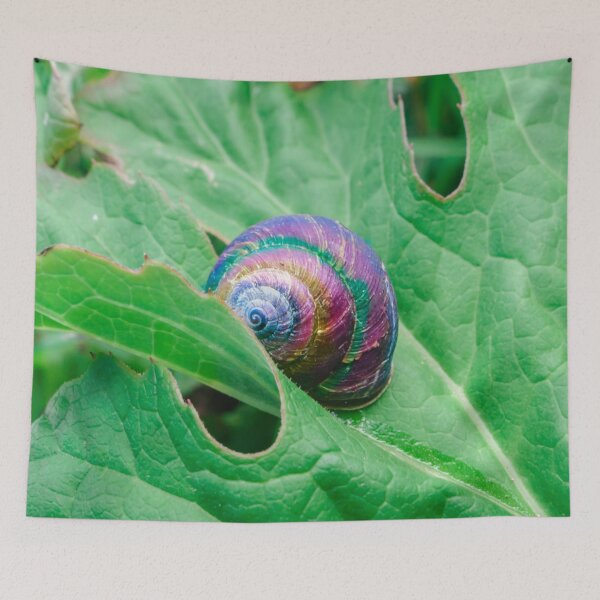 Item preview, Rainbow Snail  designed and sold by Lostlogo.