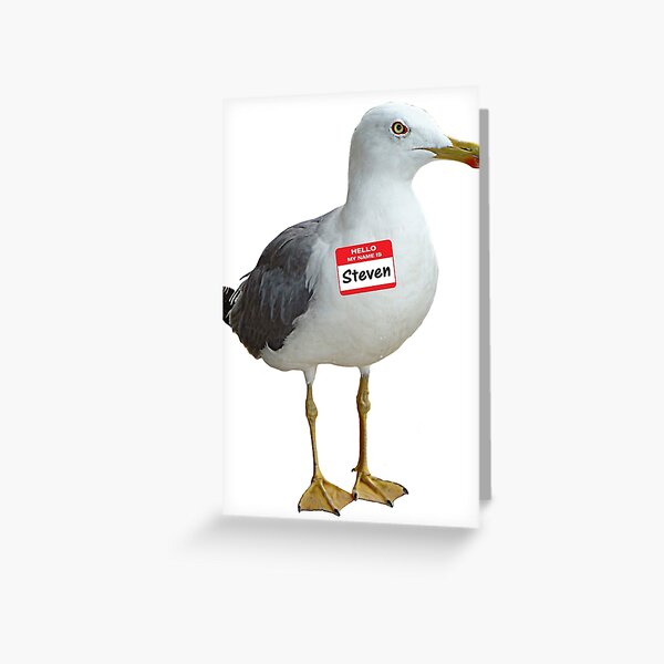 Item preview, Steven Seagull designed and sold by inesbotdesigns.