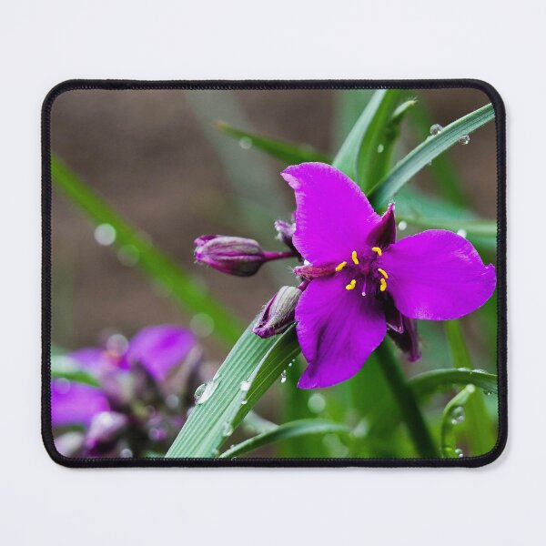 Item preview, Magenta Flower Bloom with Rain Droplets designed and sold by Wisps & Whiskers Designs.