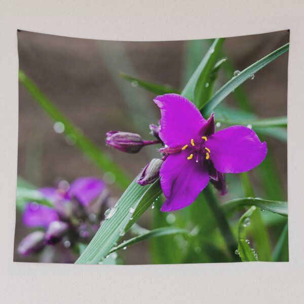 Item preview, Magenta Flower Bloom with Rain Droplets designed and sold by Wisps & Whiskers Designs.