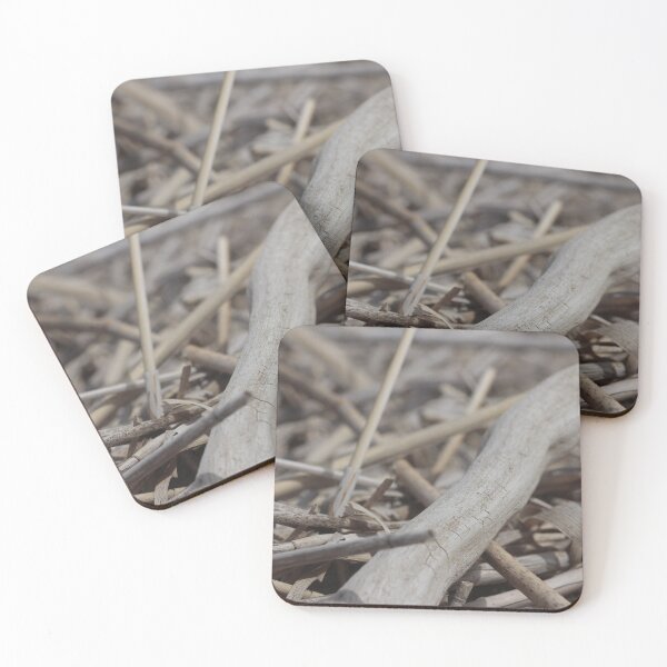 Item preview, Driftwood designed and sold by stef44.