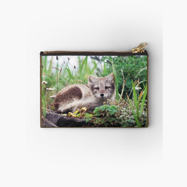 Item preview, Cute  Baby Arctic Fox Cub in the Forest, Alaska designed and sold by ScienceSource.