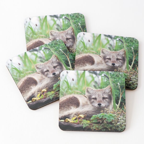 Item preview, Cute  Baby Arctic Fox Cub in the Forest, Alaska designed and sold by ScienceSource.