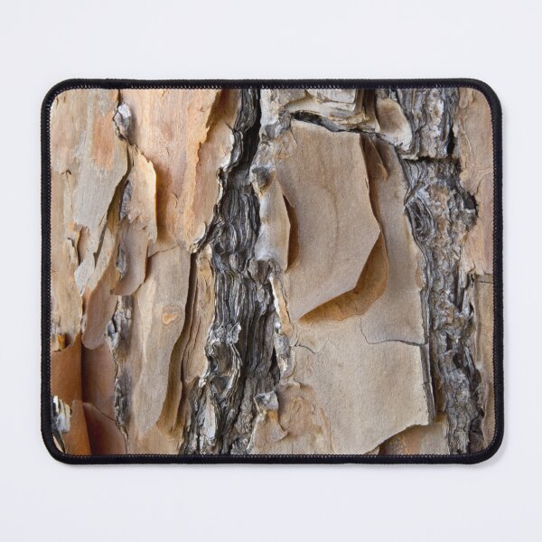 Item preview, Abstract Texture Photo of Tree Bark, Long leaf Pine Tree, designed and sold by ScienceSource.