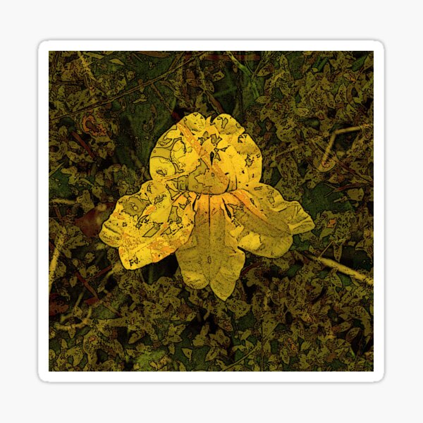Goodenia Flower on Moss Sticker
