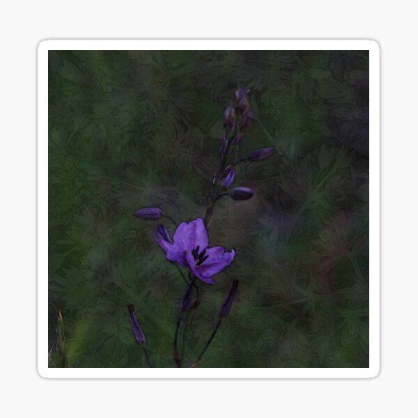 Chocolate Lily Flower Sticker