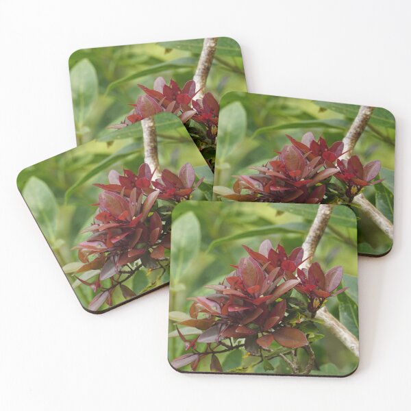 Item preview, Liko Lehua designed and sold by Keola Makaiau.