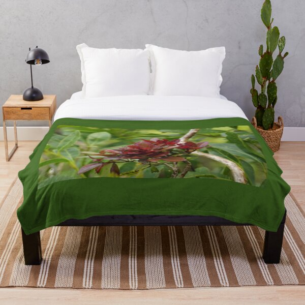 Item preview, Liko Lehua designed and sold by Keola Makaiau.
