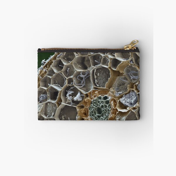Item preview, Macro Microscope Photo of Mycorrhizal Fungus Mushroom, SEM designed and sold by ScienceSource.