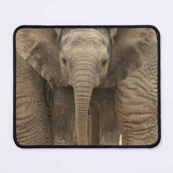 Item preview, Cute Baby Elephant Calf Between the Legs and Feet of Mother Elephant designed and sold by ScienceSource.