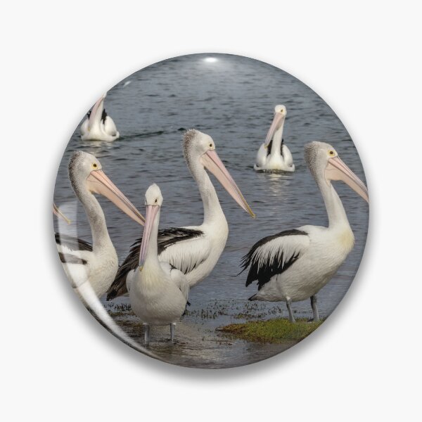 Item preview, Gather around designed and sold by GaryParnell.