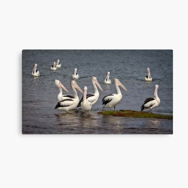 Item preview, Gather around designed and sold by GaryParnell.