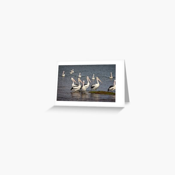 Item preview, Gather around designed and sold by GaryParnell.