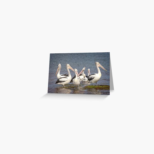 Item preview, The meeting designed and sold by GaryParnell.