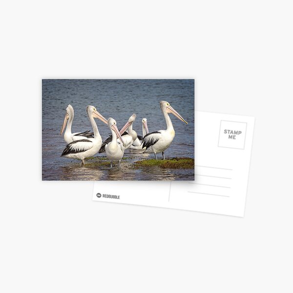Item preview, The meeting designed and sold by GaryParnell.