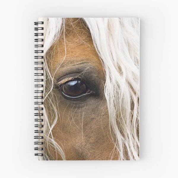 Item preview, Beautiful Closeup of Haflinger Horse Stallion Eye and Mane designed and sold by ScienceSource.