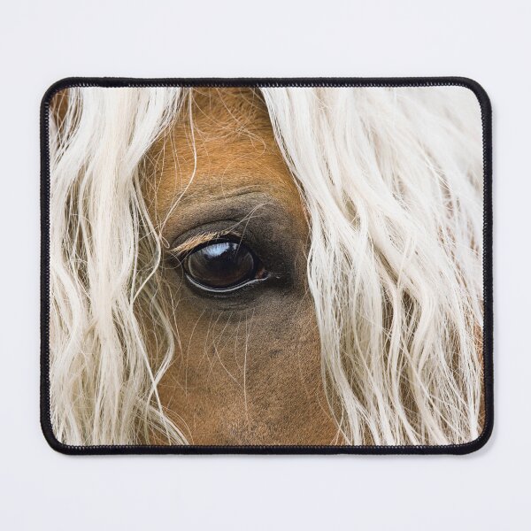 Item preview, Beautiful Closeup of Haflinger Horse Stallion Eye and Mane designed and sold by ScienceSource.