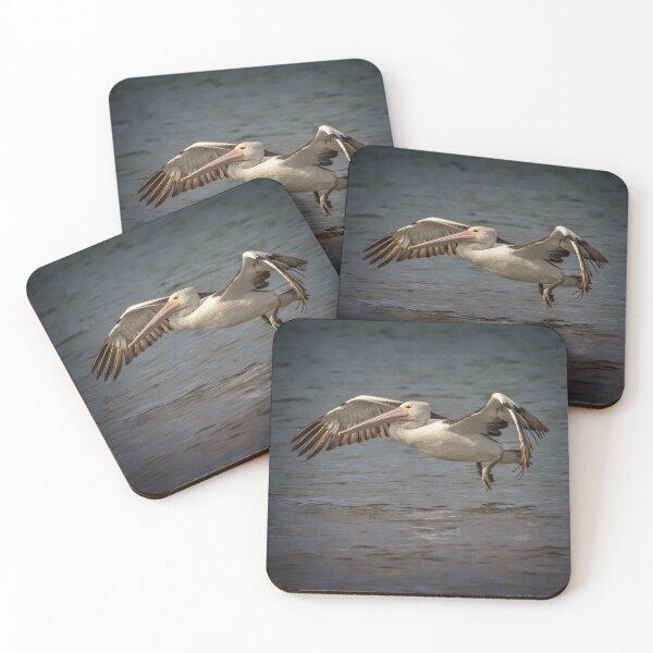 Item preview, pelican in flight - square image designed and sold by GaryParnell.