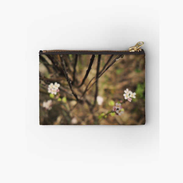 Item preview.