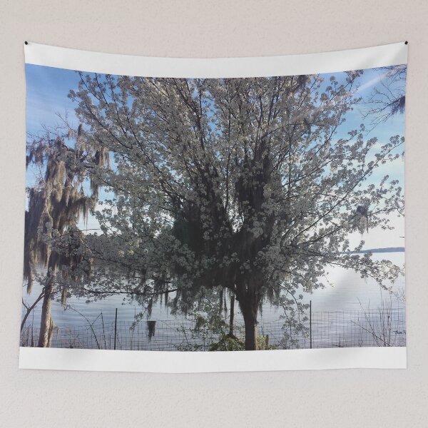 Item preview, TMP Photography • Rayburn Tree designed and sold by TMPSG.
