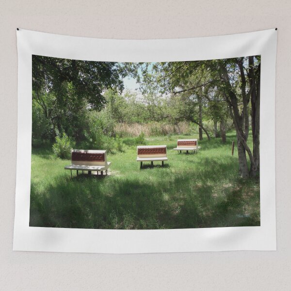 Item preview, TMP Photography • Carlsbad Seats designed and sold by TMPSG.