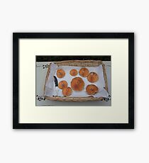 Saffron Cap Mushroom Framed Print