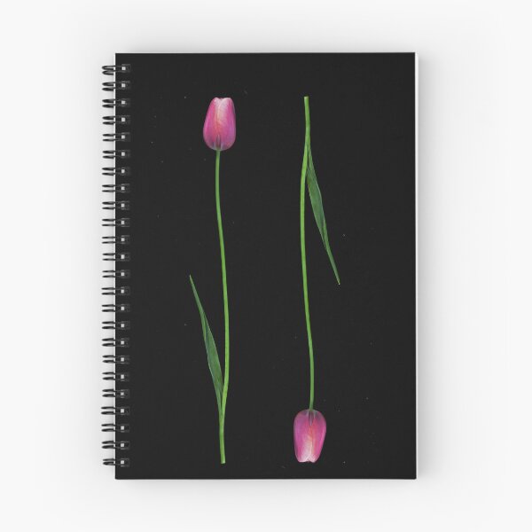 Artikelvorschau, Allein zusammen - zwei Tulpen entworfen und verkauft von kadmil.