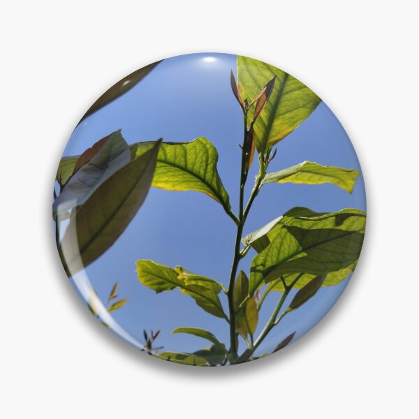 Item preview, Lemon tree under the blue sky designed and sold by KNBS.