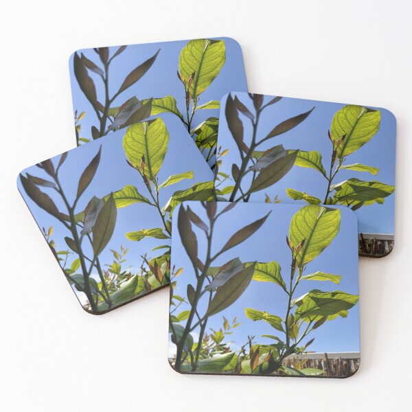 Item preview, Lemon tree under the blue sky designed and sold by KNBS.