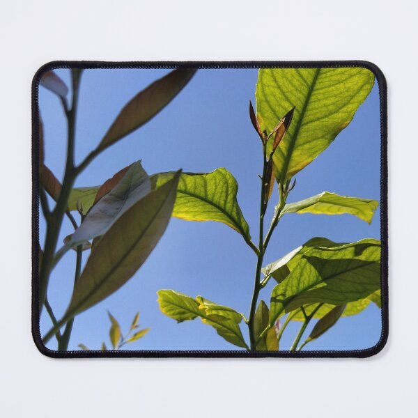 Item preview, Lemon tree under the blue sky designed and sold by KNBS.