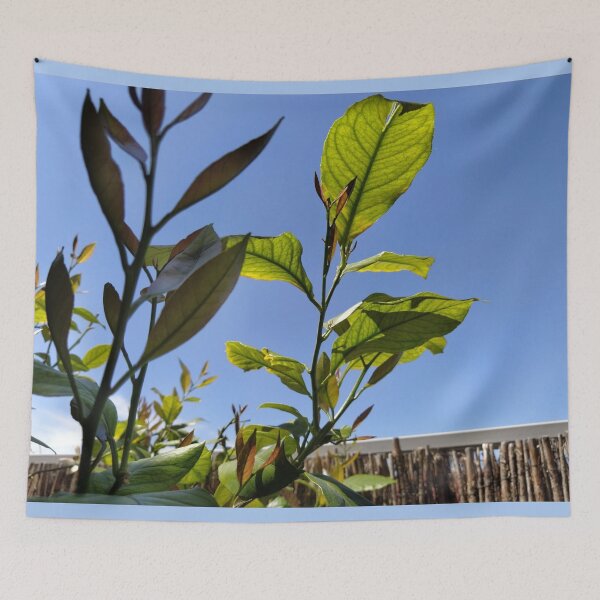 Item preview, Lemon tree under the blue sky designed and sold by KNBS.