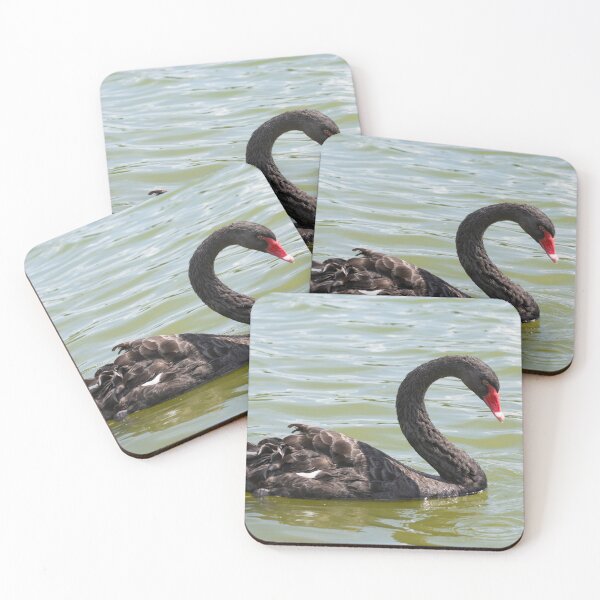 Item preview, Black swan on the lake designed and sold by Zina Stromberg.