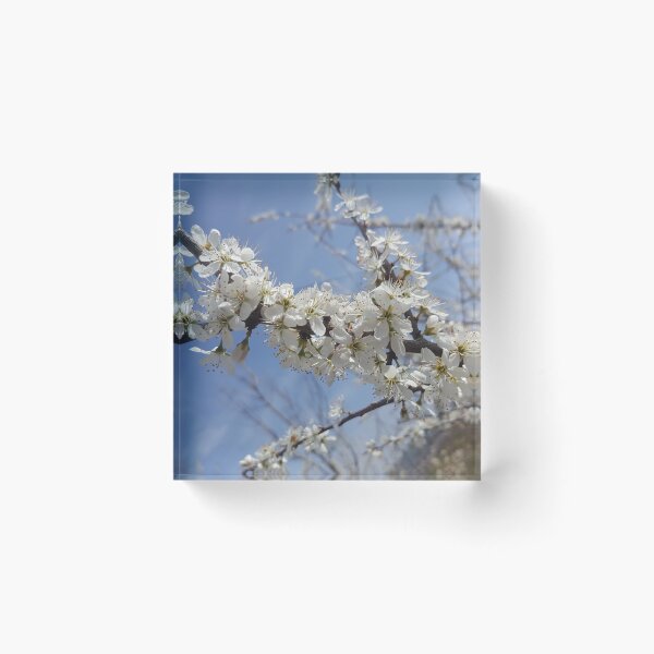 Artikelvorschau, Spring Blossom entworfen und verkauft von LadyPochoir.