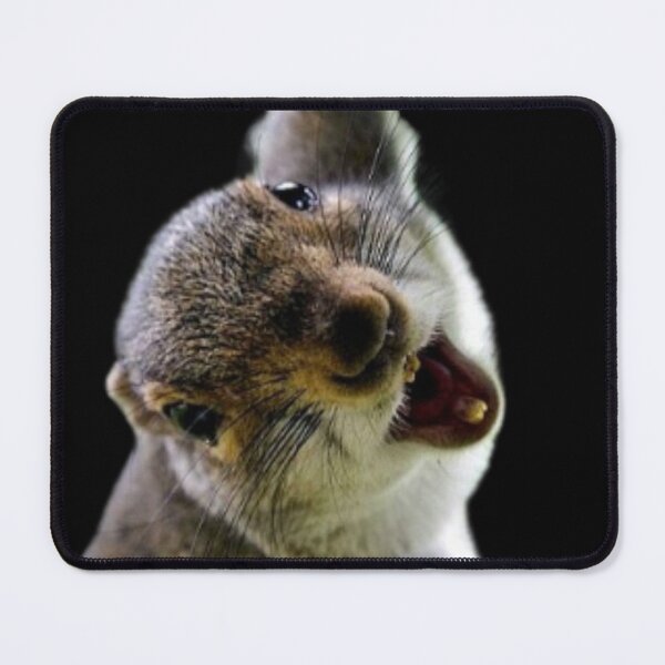 Item preview, Happy Squirrel designed and sold by tees-n-treats.