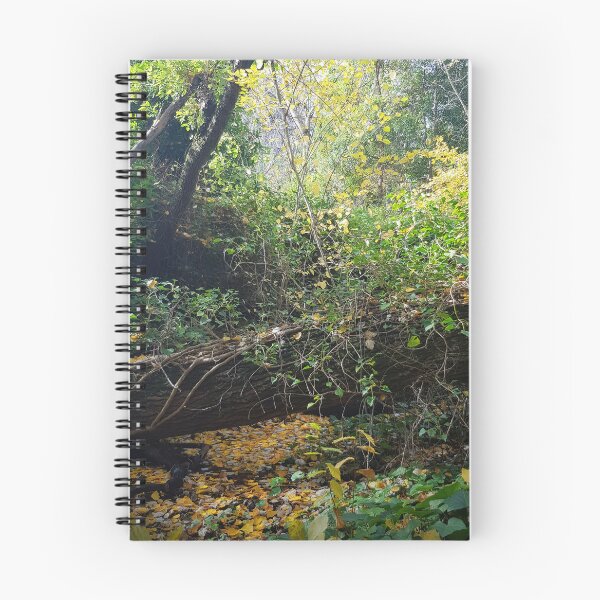 Item preview, Bosque Tranquilo designed and sold by PhotosByFelix.