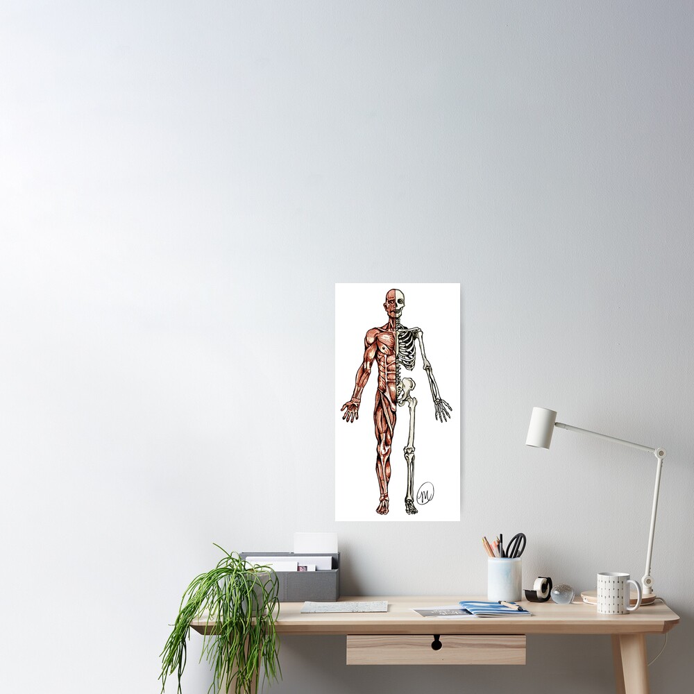 "Half Muscle Half Skeleton" Poster for Sale by MVanHyll Redbubble