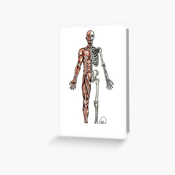 Half Muscle - Half Skeleton Greeting Card
