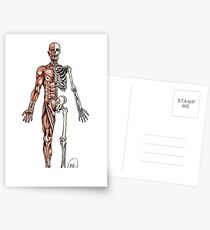 Half Muscle - Half Skeleton Postcards